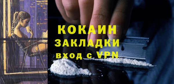 ГАЛЛЮЦИНОГЕННЫЕ ГРИБЫ Алзамай