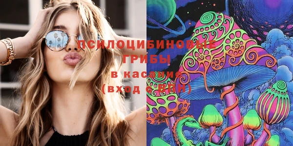 стафф Сафоново