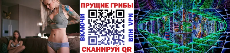 наркотики мориарти Telegram Псилоцибиновые грибы прущие грибы Багратионовск
