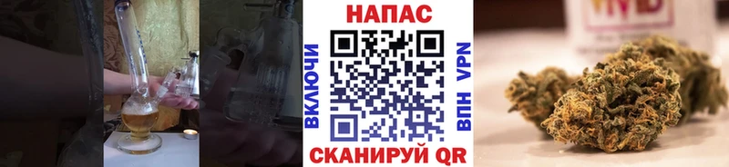 Бошки марихуана индика  Багратионовск 